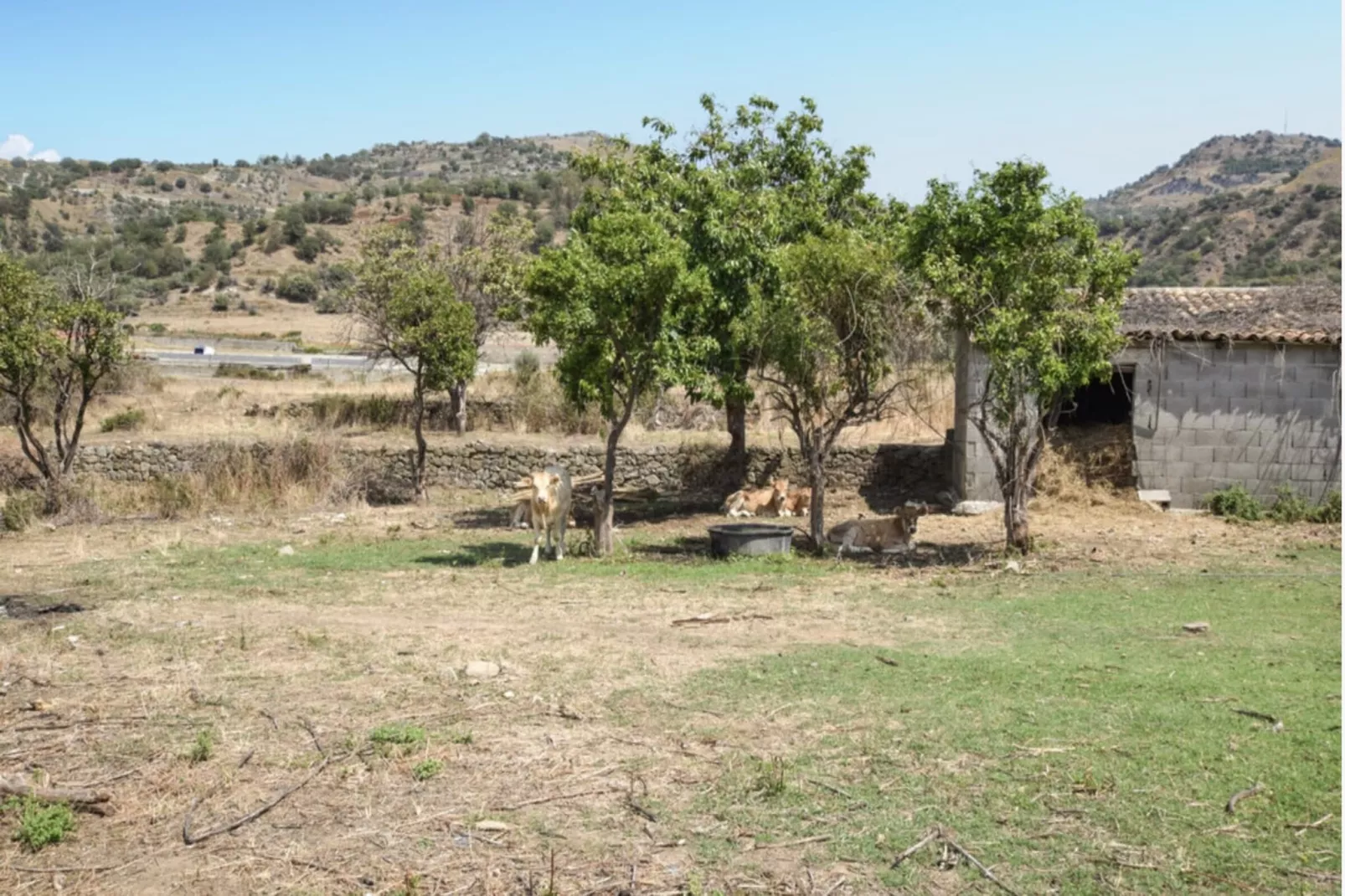Villa Rossella-Zones d'été à 5 km