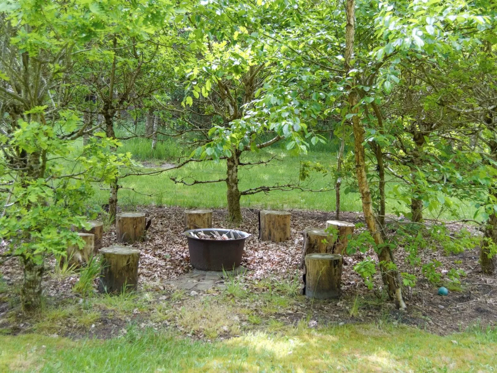 "Hailka"-Outside