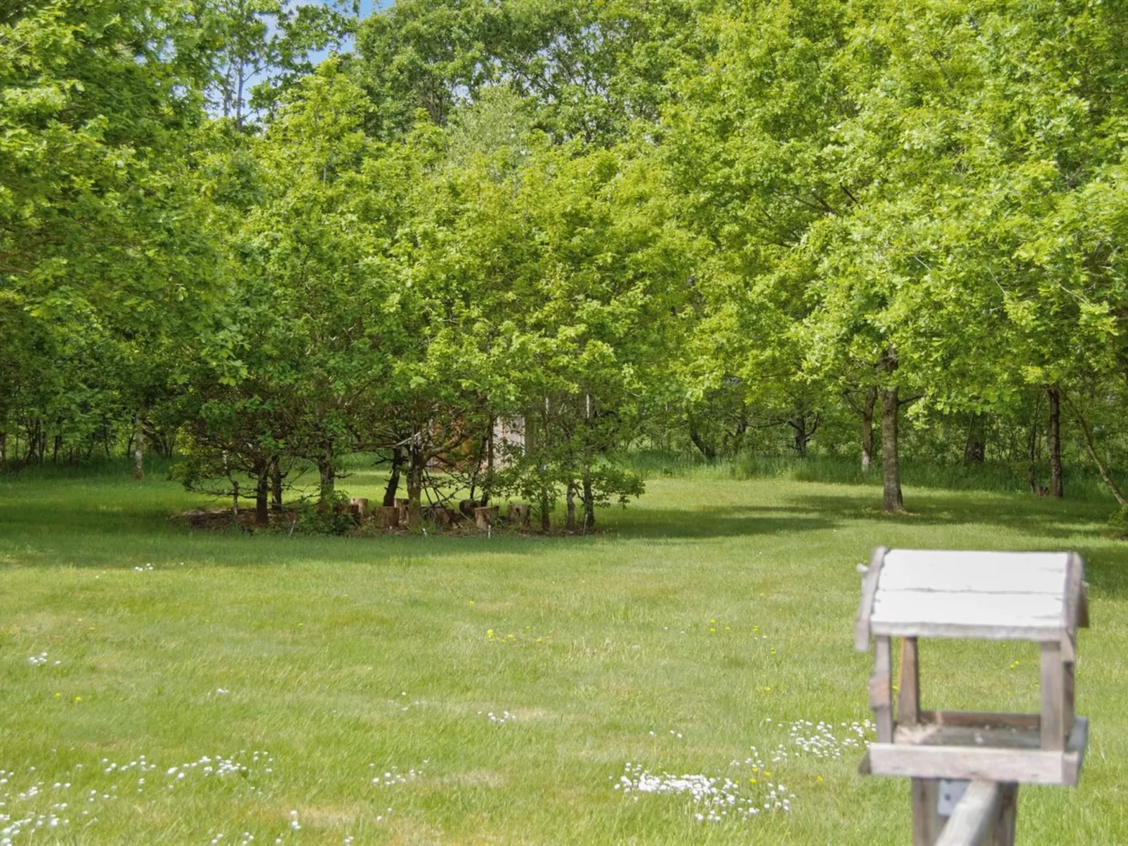 "Hailka"-Outside