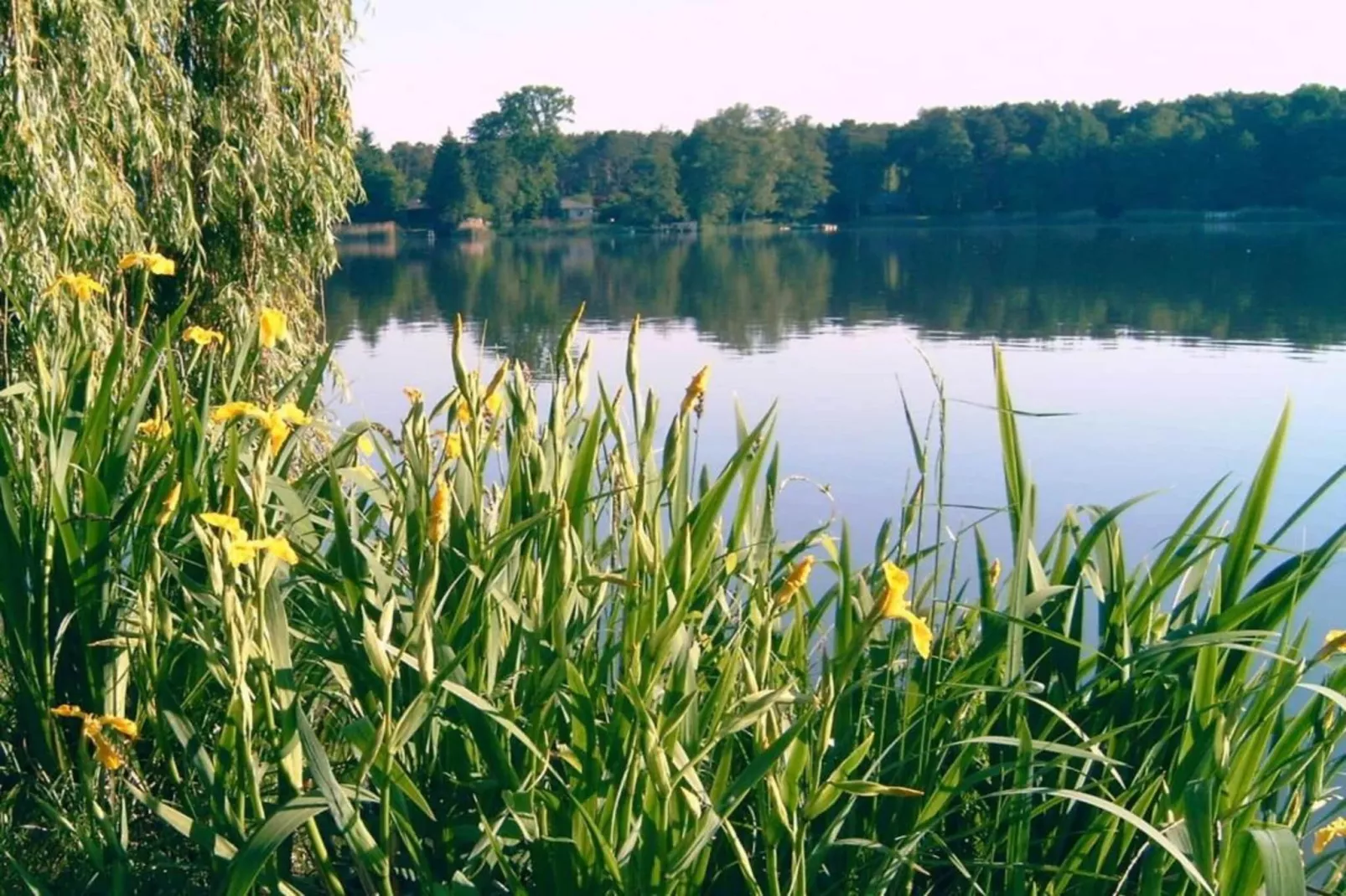 Ferienhäuschen in Schwerin-Area winter 20km
