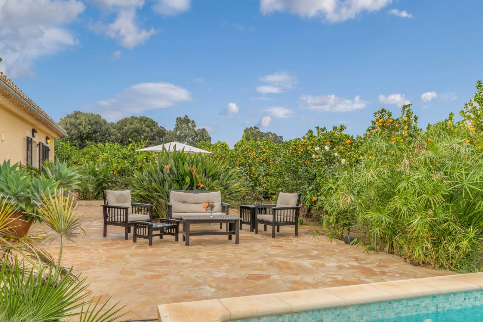 Son Fornes, Finca 5StarsHome Mallorca-Terrace
