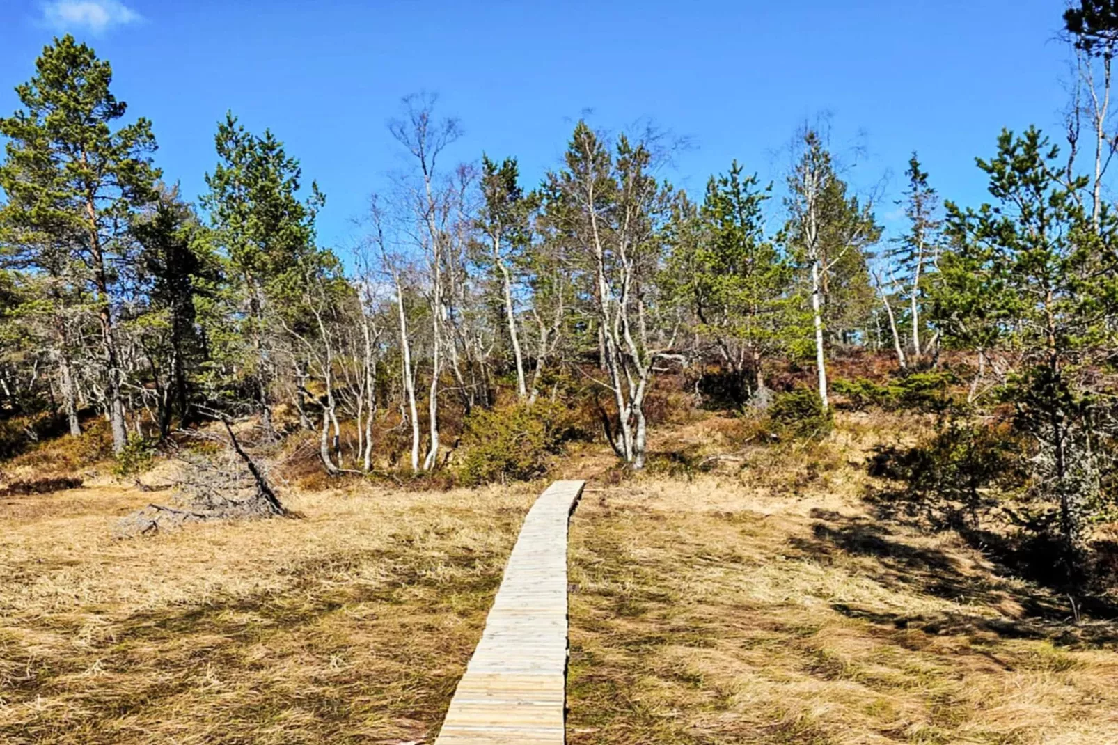 11 person holiday home in Hornnes-Not tagged