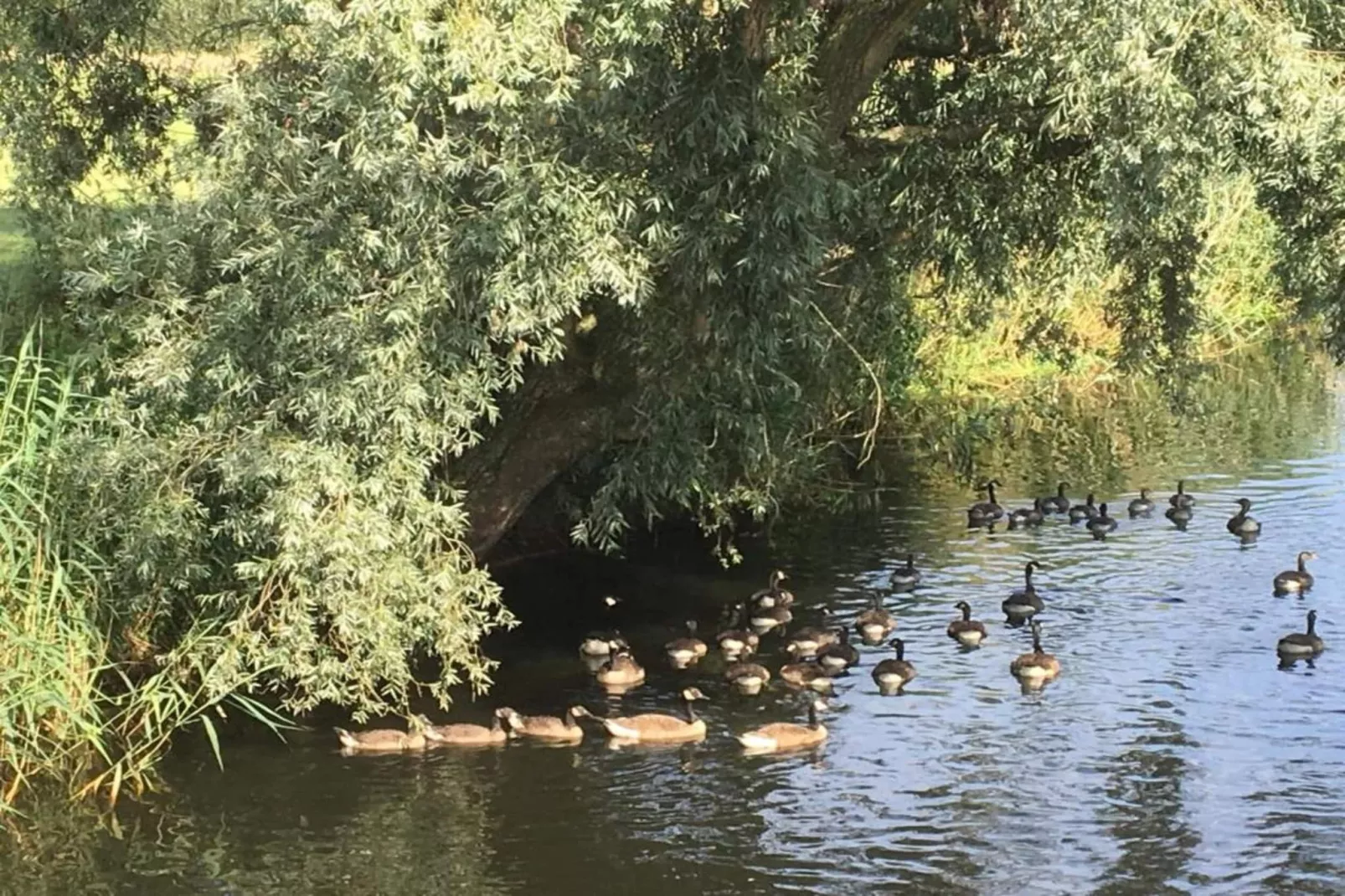 De oude stal-Areas summer 20km