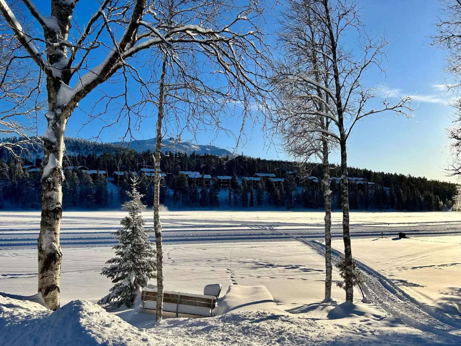 Lomakivakka b6-Outside