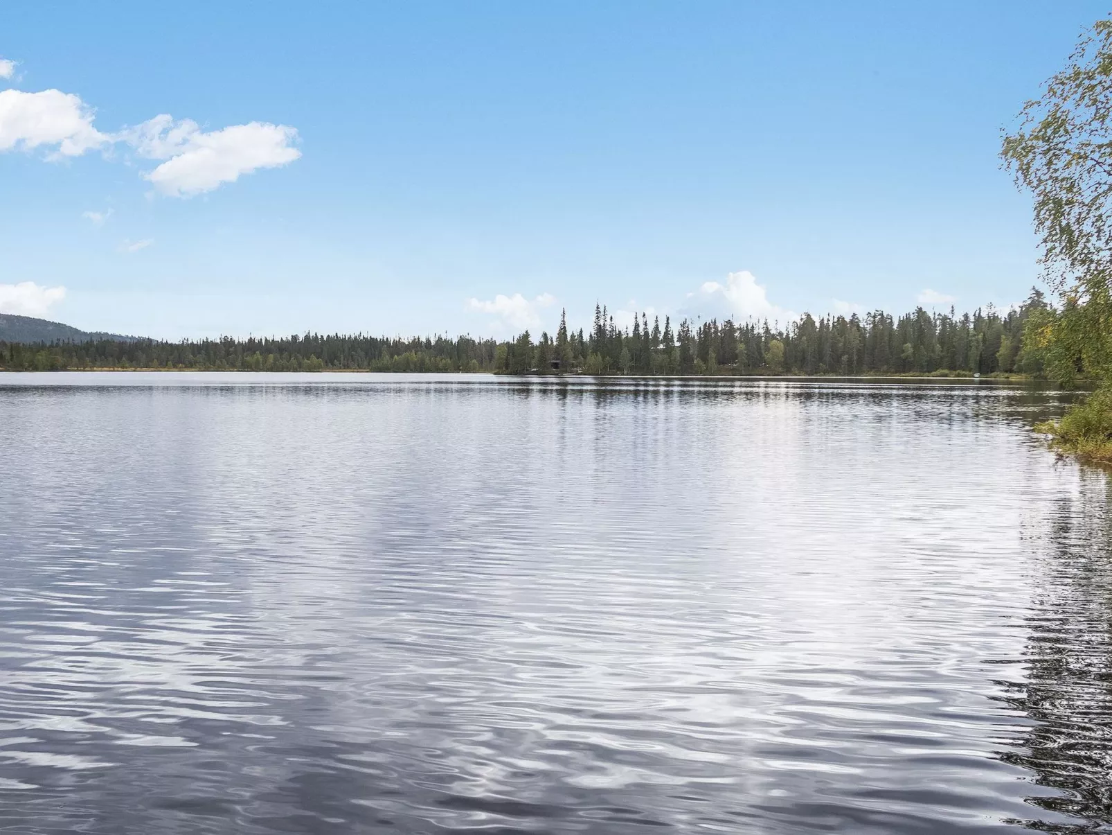 Rukatörmä, kesäjärvi-Drinnen