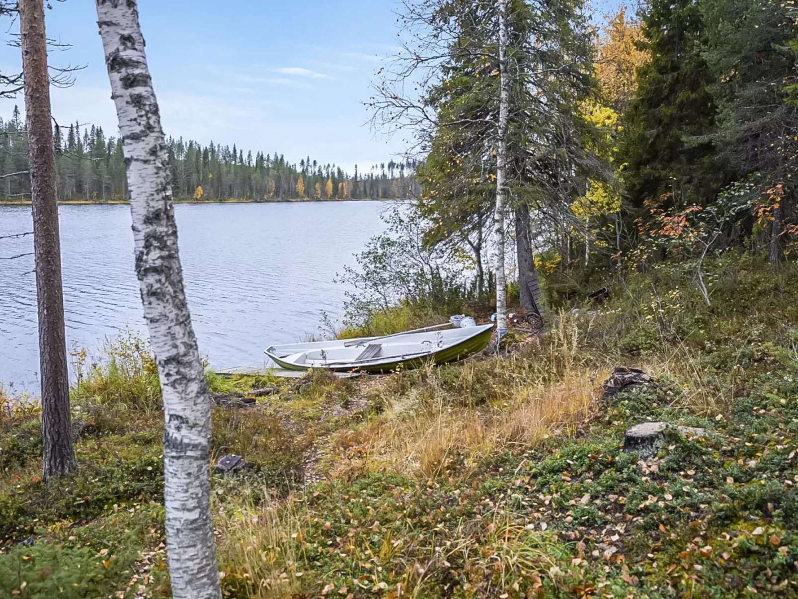 Saapunkijärvi, pitkäperä-Outside