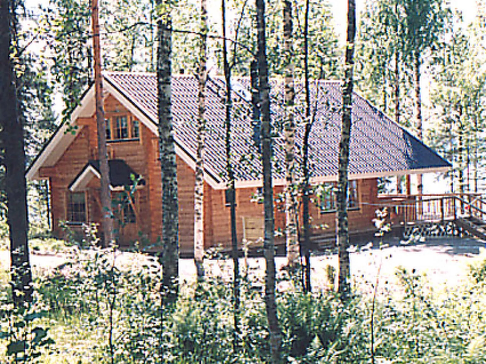 Linnunlaulu-Draußen