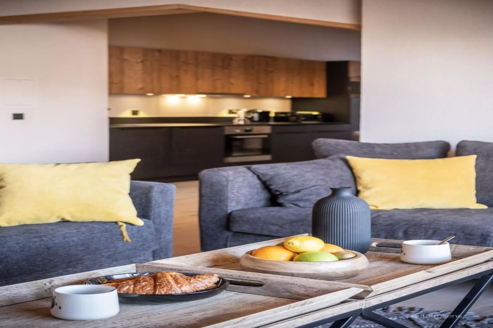 PLAGNE MONTALBERT Le Snoroc- A48S-Living room
