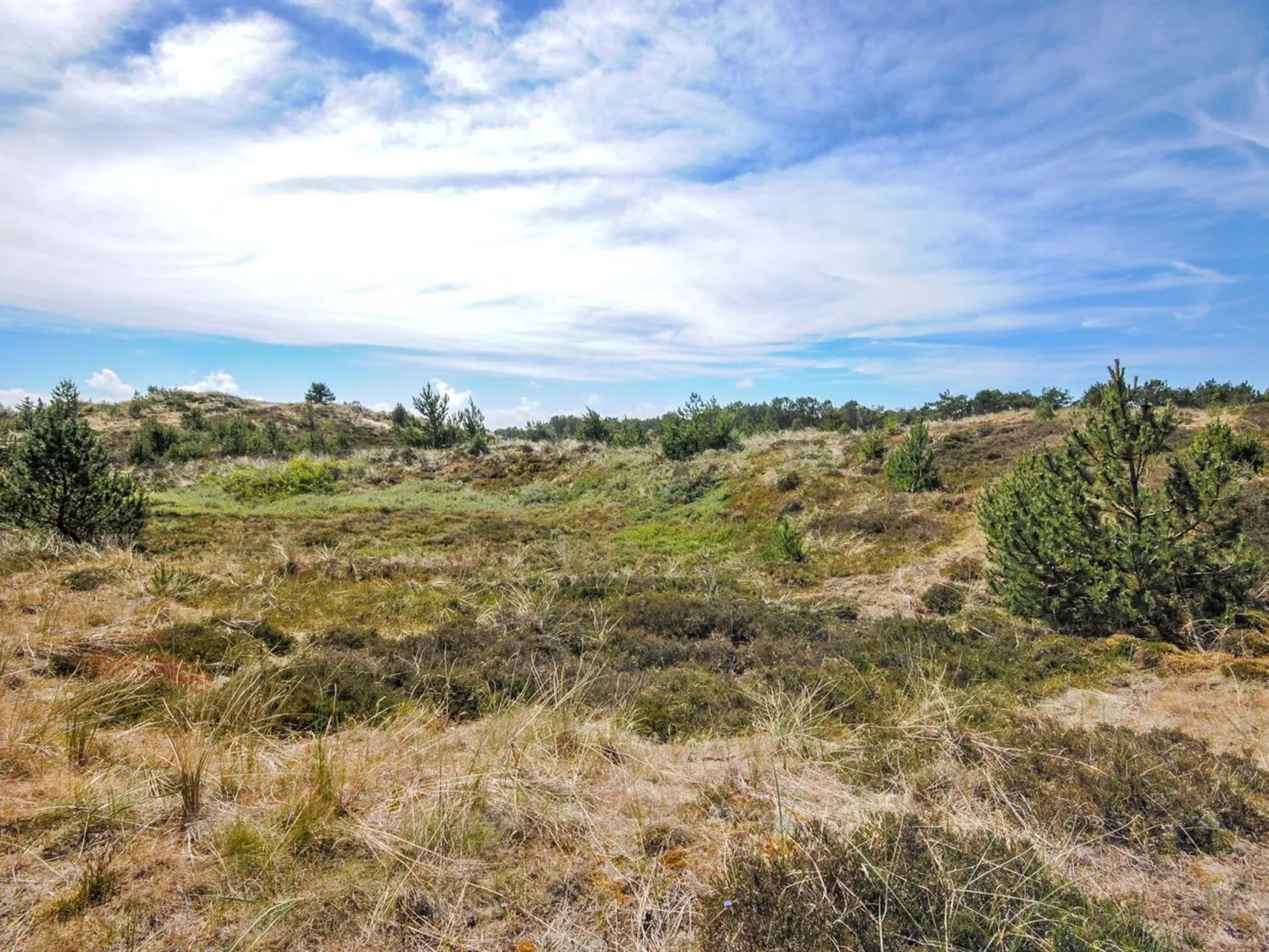 "Eroll" - 1.8km from the sea-Outside