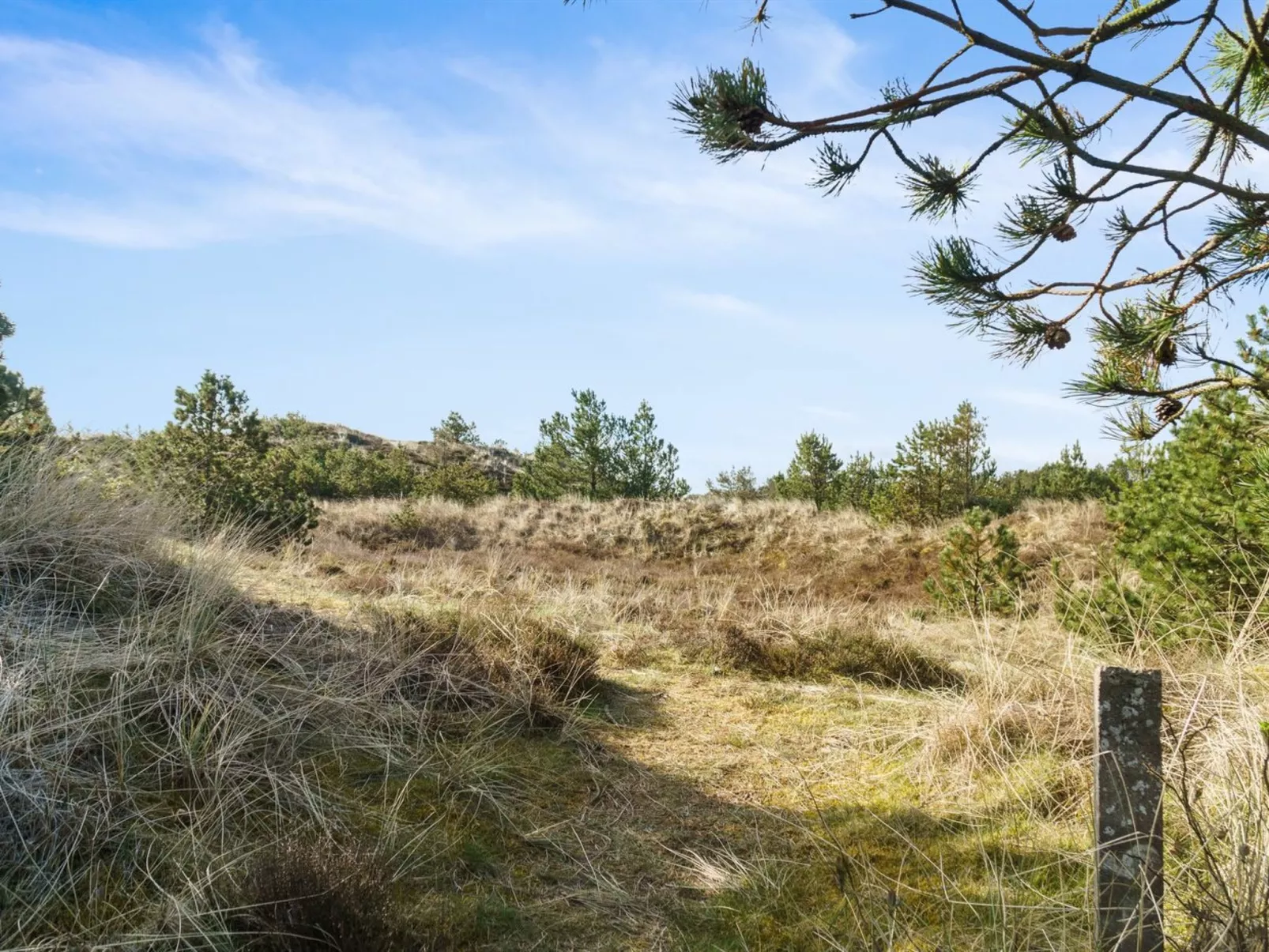 "Eroll" - 1.8km from the sea-Outside