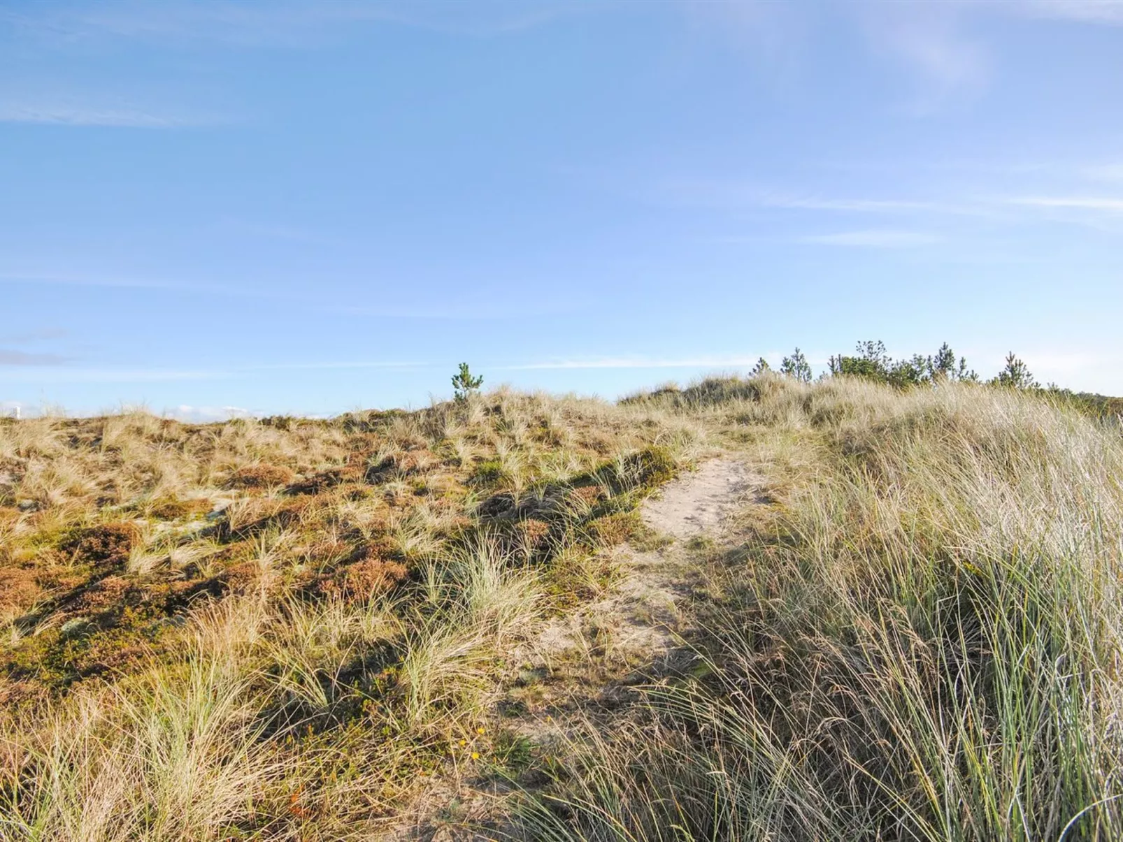 "Hakon" - 900m from the sea-Outside