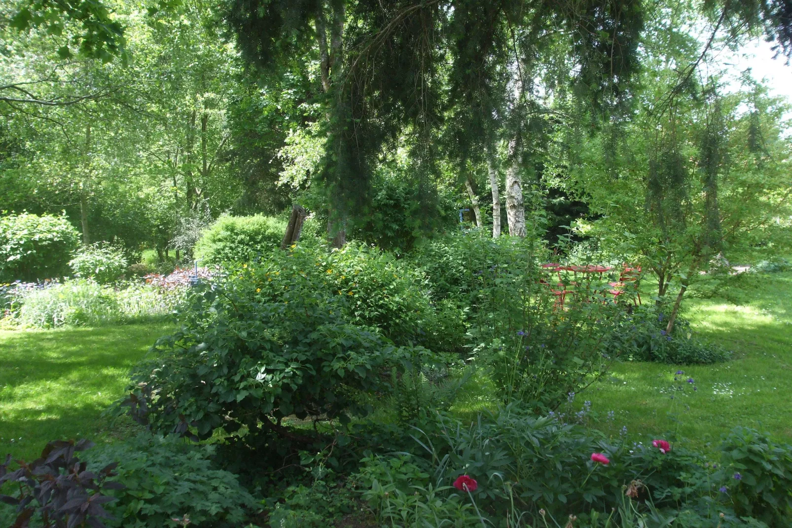Le Dauphin bleu-Gardens summer