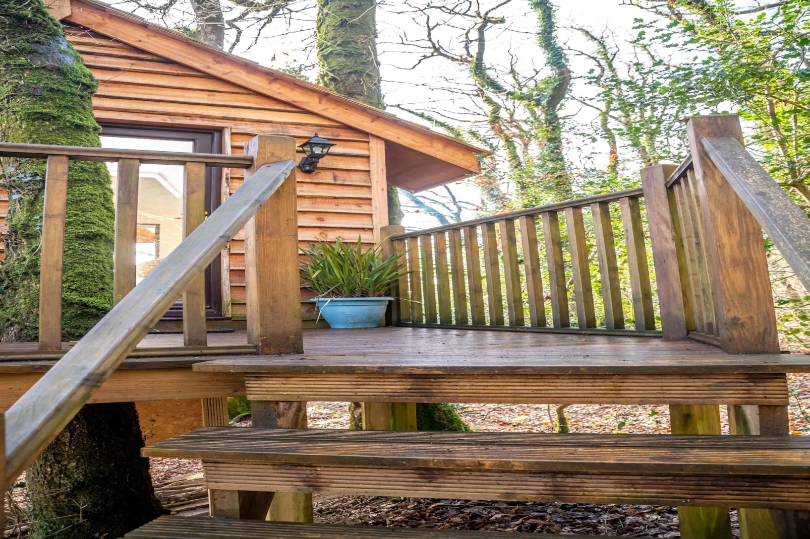 Yeworthy Eco-Treehouse-Außenbereich