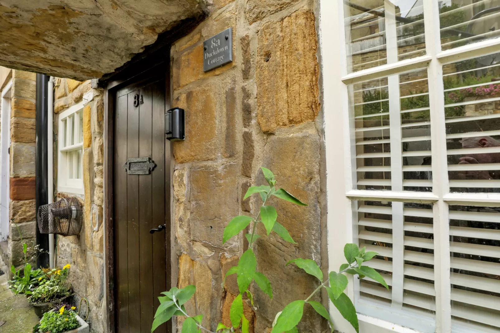 Duck Down Cottage-Outdoor