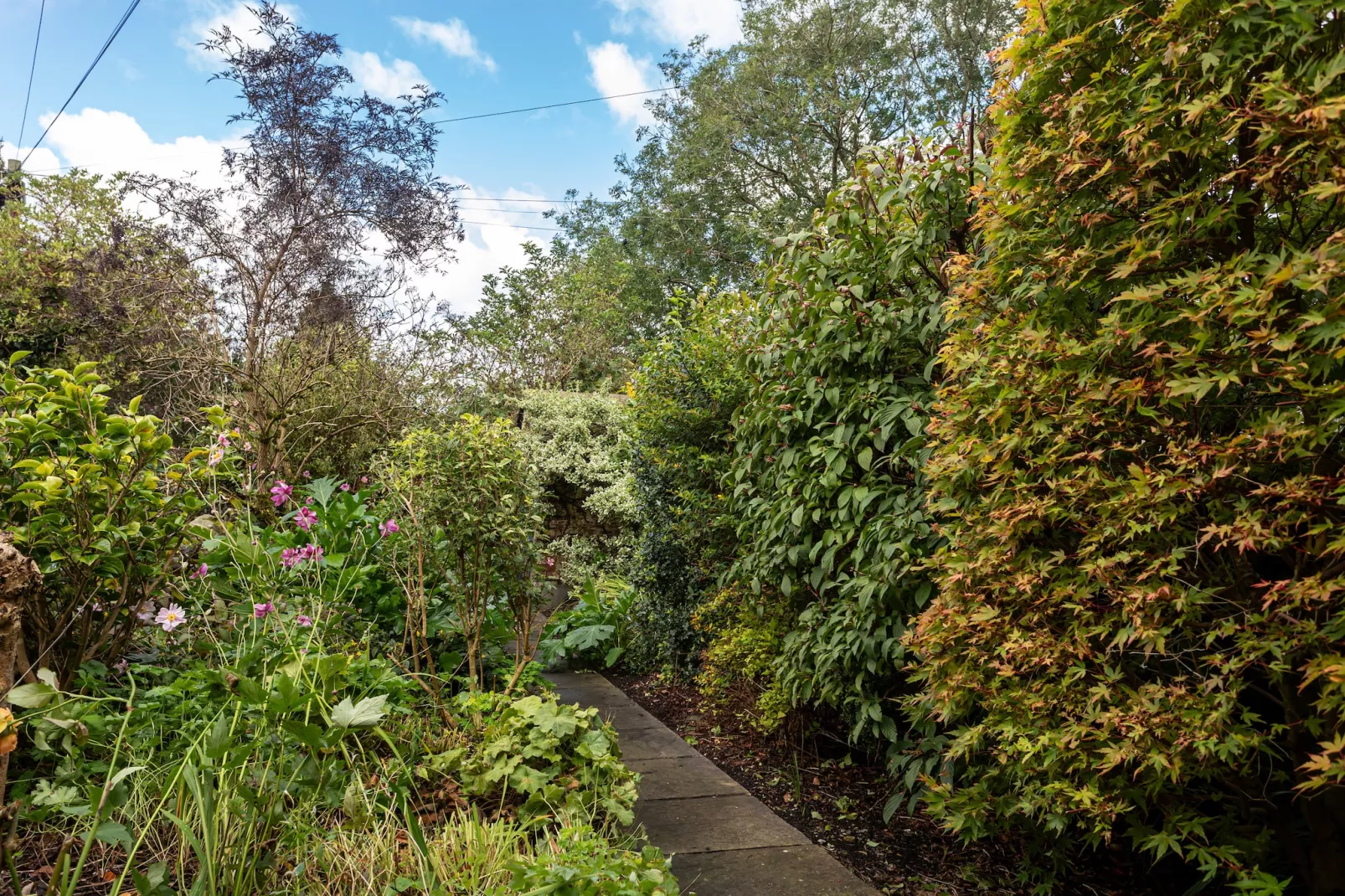 Garden Cottage-Gardens summer