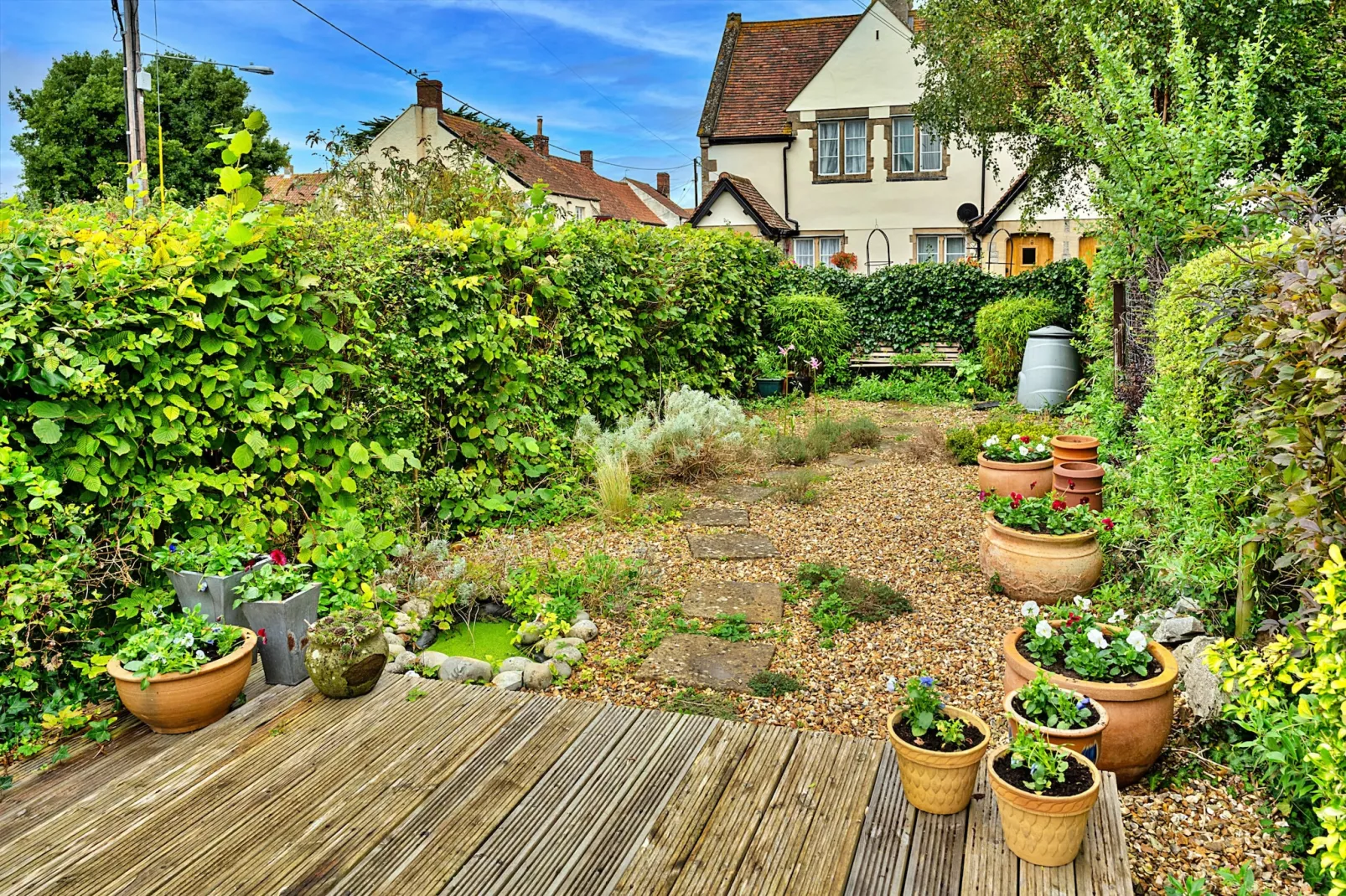 Clematis Cottage-Gardens summer