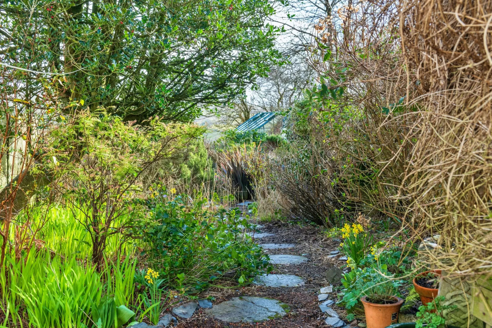 Dolwar Cottage-Gardens summer