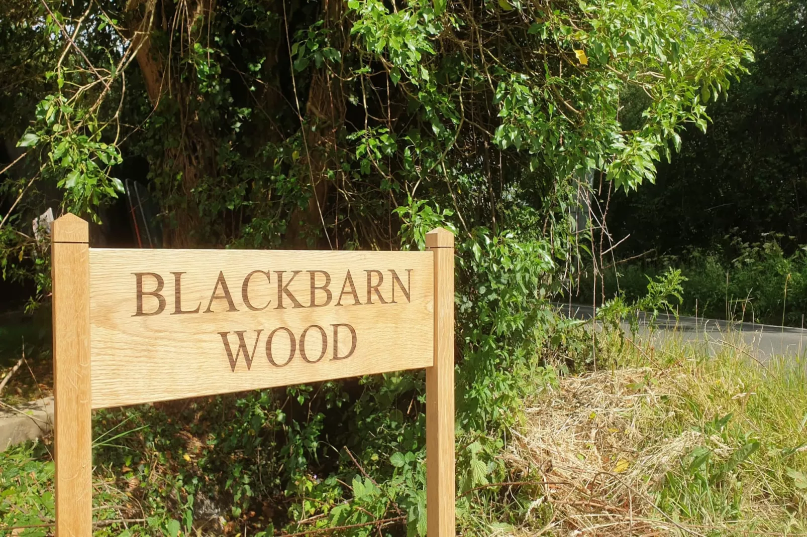 Blackbarn Wood-Outdoor
