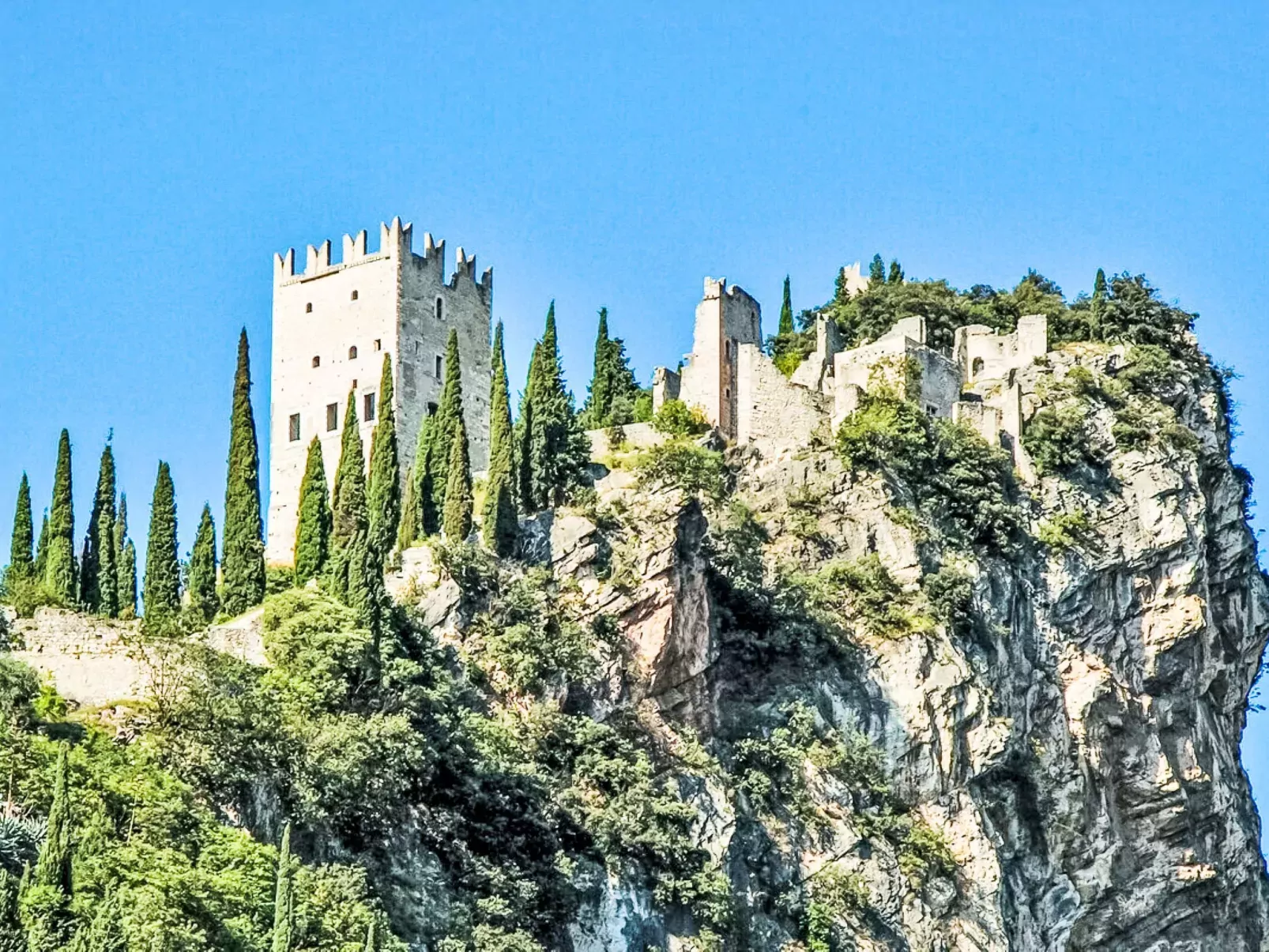 Calicantus - Nespolo-Area