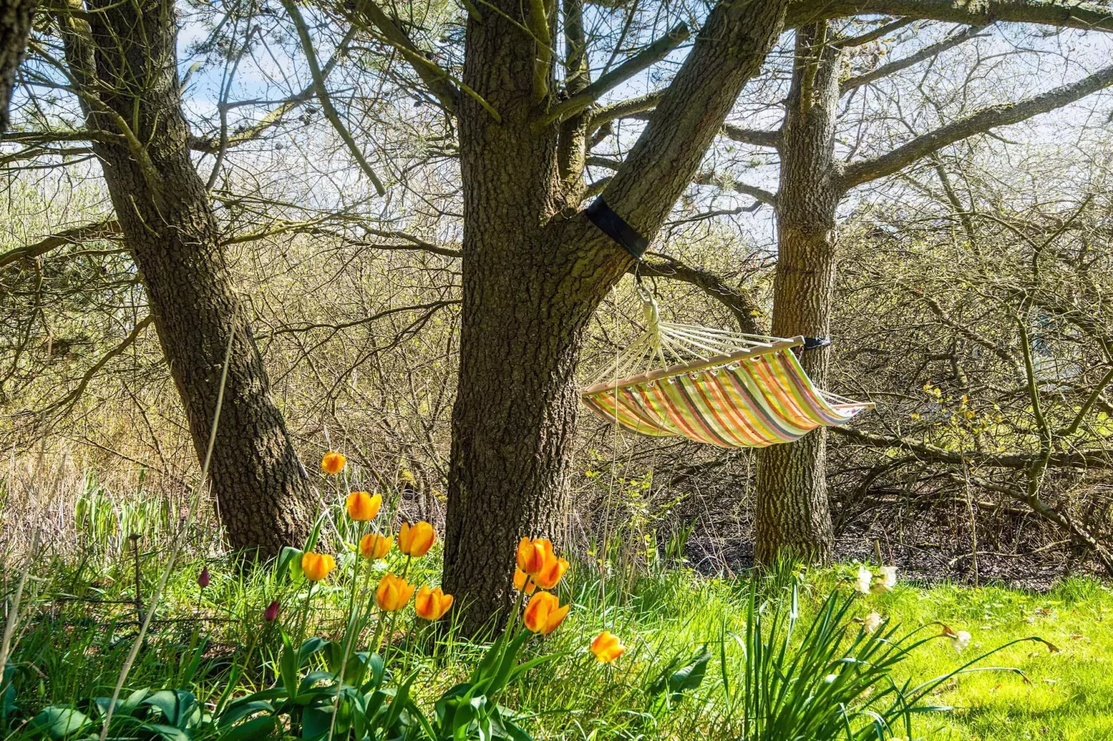 Maison de vacances pour 6 a Rømø-Vue