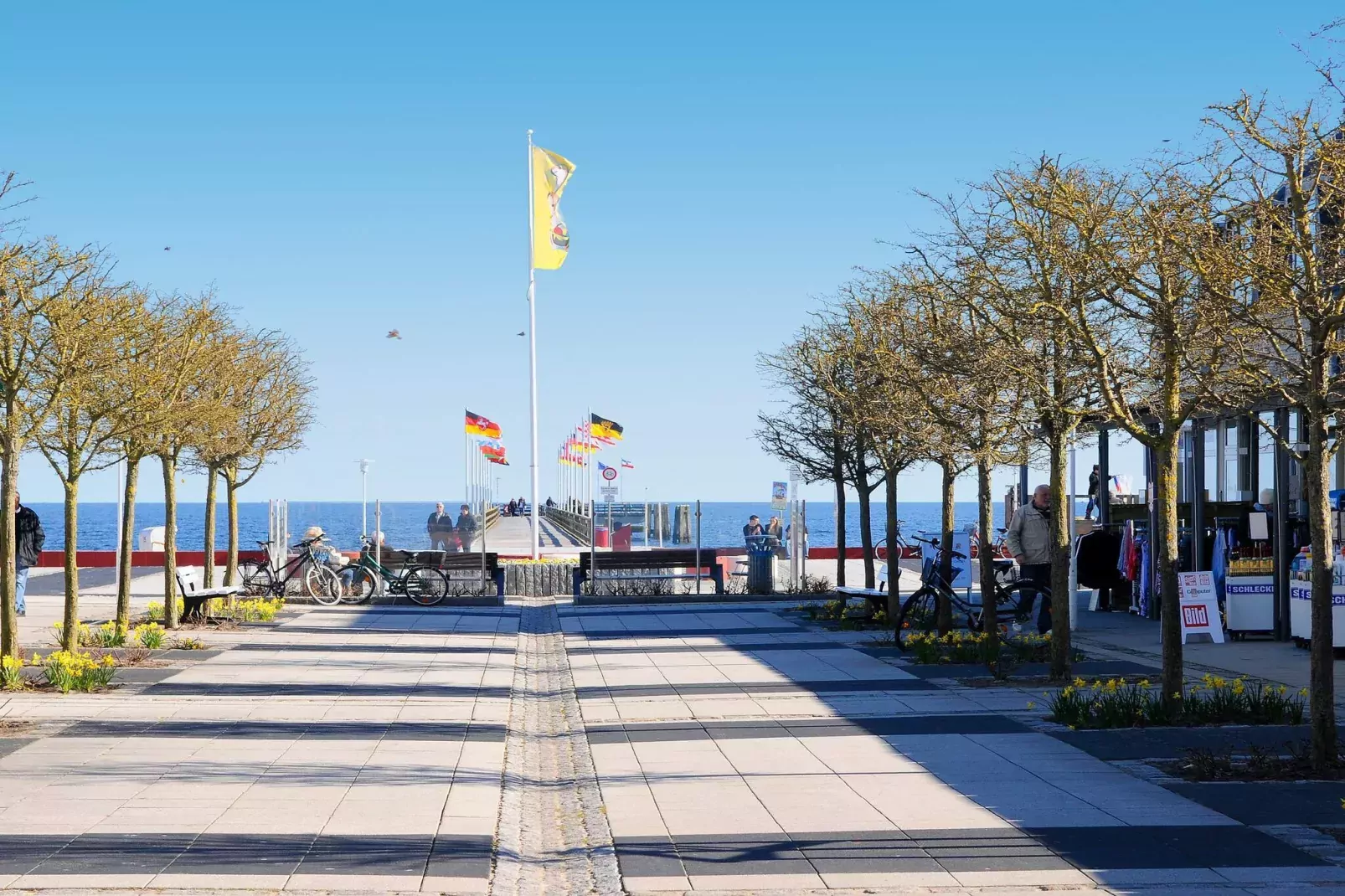 TYP B-Nicht zugeordnet