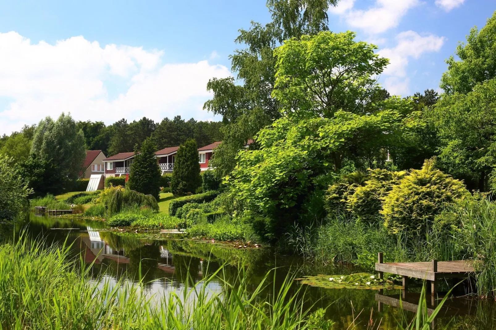 Vakantiepark Emslandermeer 1-Areas summer 1km