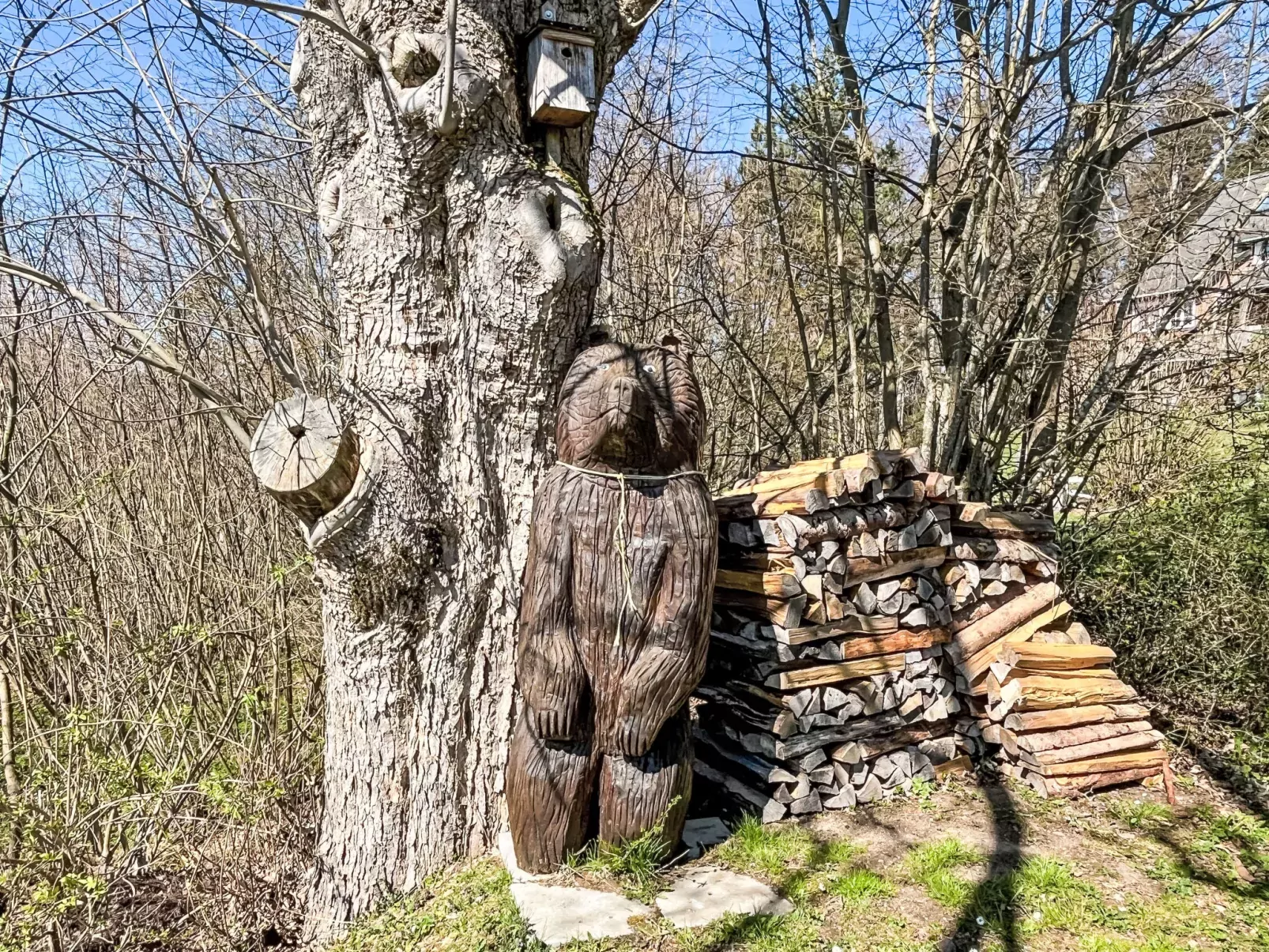 Alpenblick-Outside