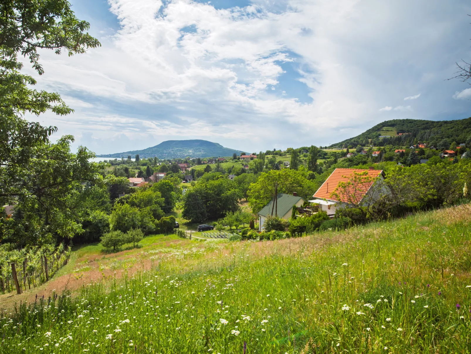 Kopacsi-Draußen