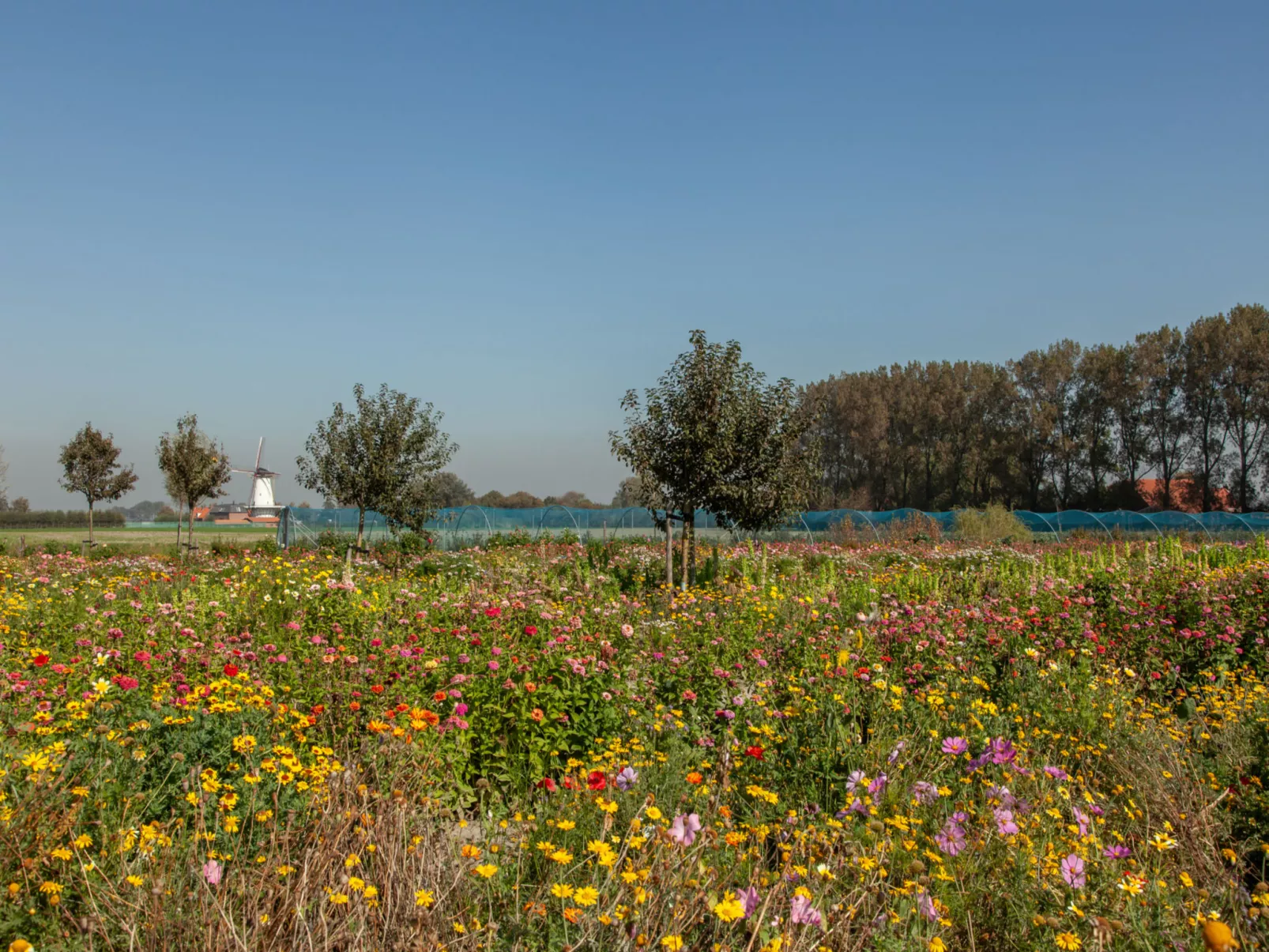 'T Bloemenhof Koudekerke-Outside