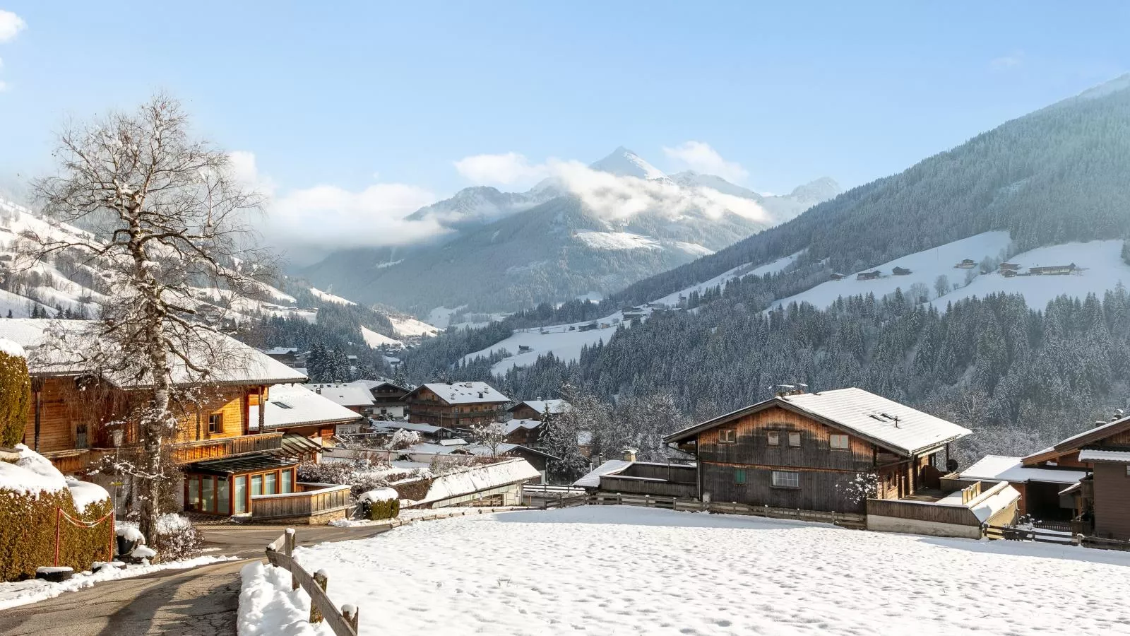 Studio Christina-Area winter 1km