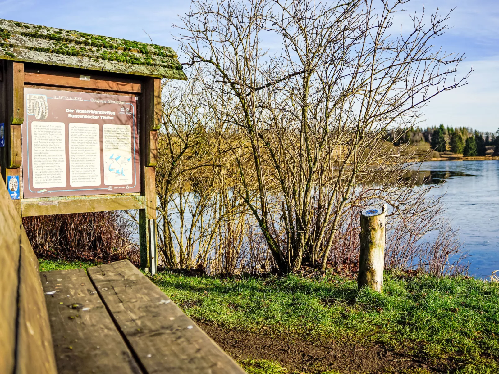 Gemütlicher Rückzugsort-Draußen