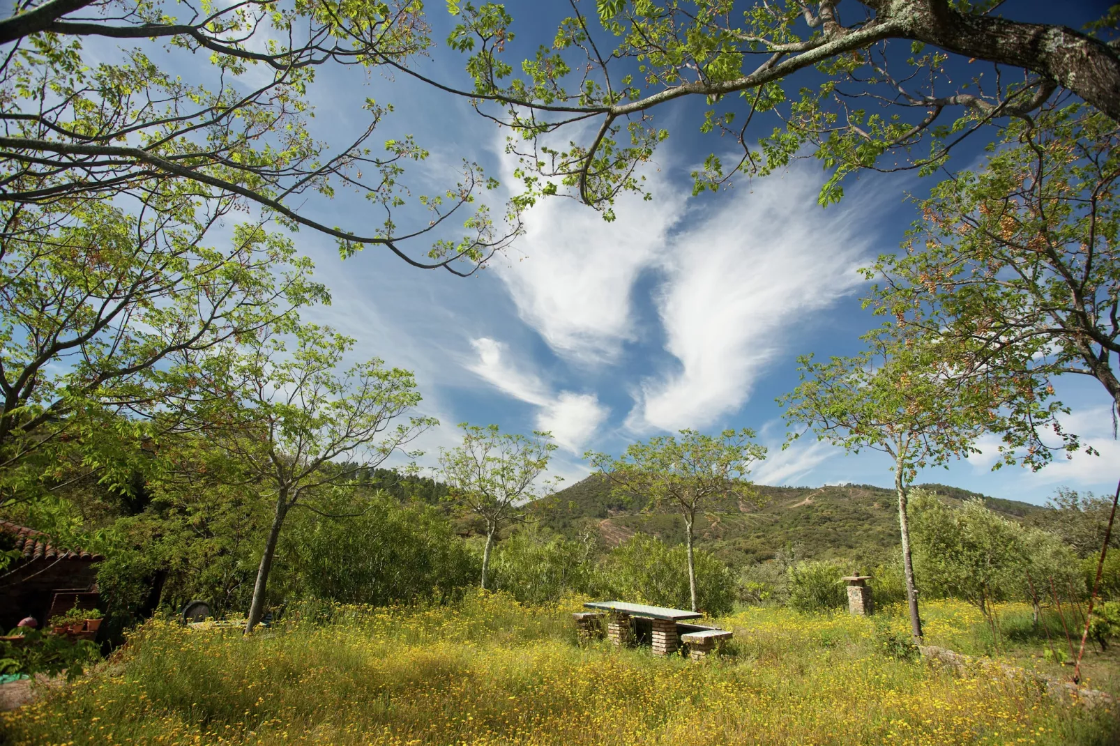 The Eagle-Areas summer 20km