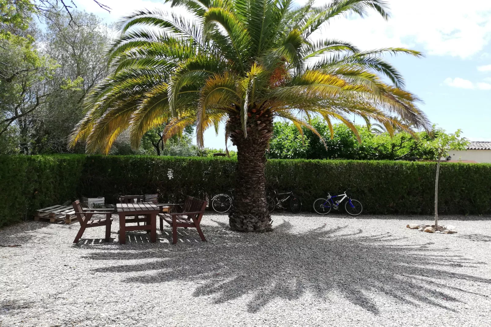 LES PALMERES 43-Gardens summer