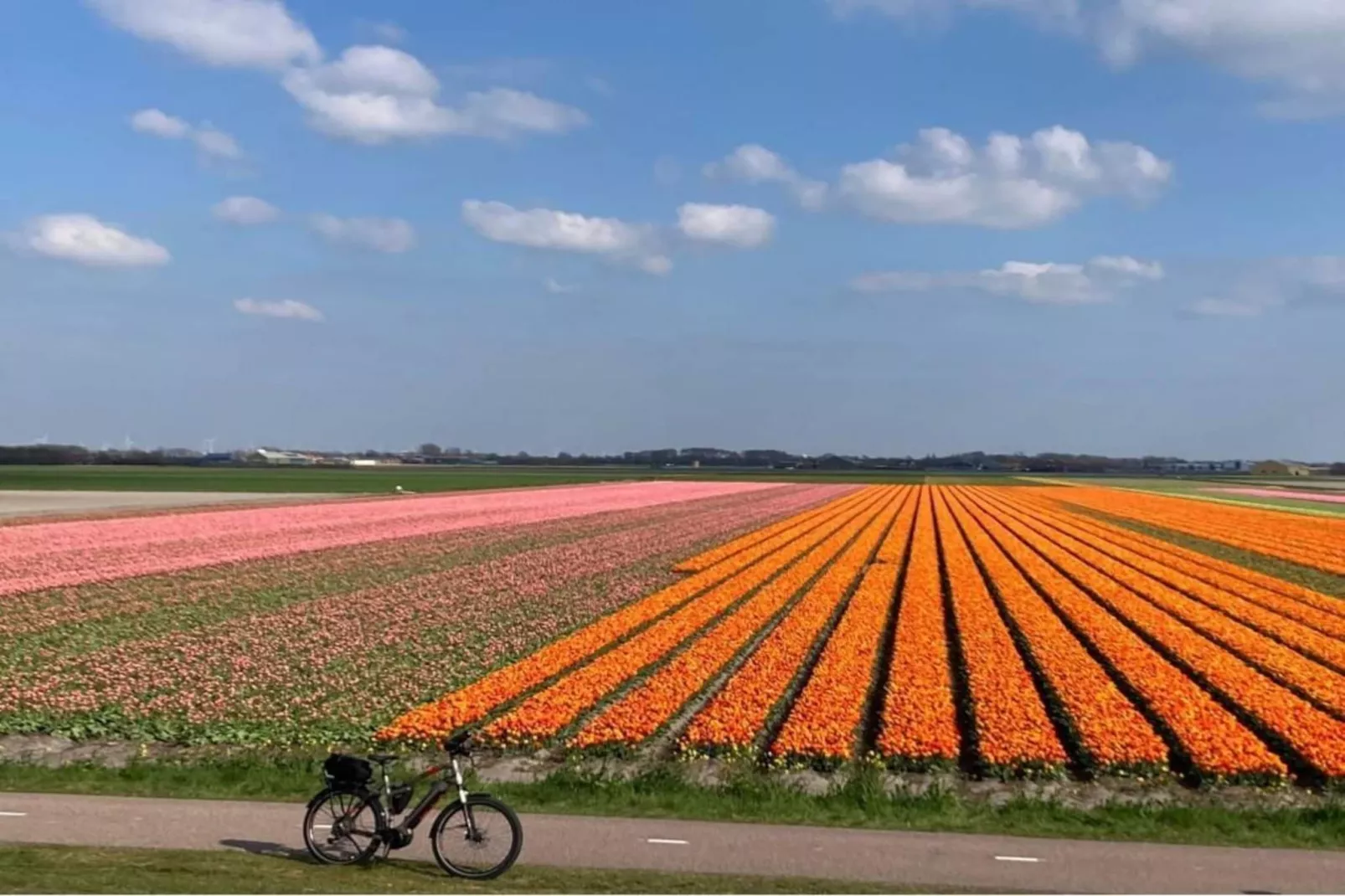 Belkmerduinen 05-Gebiete Sommer 5 km