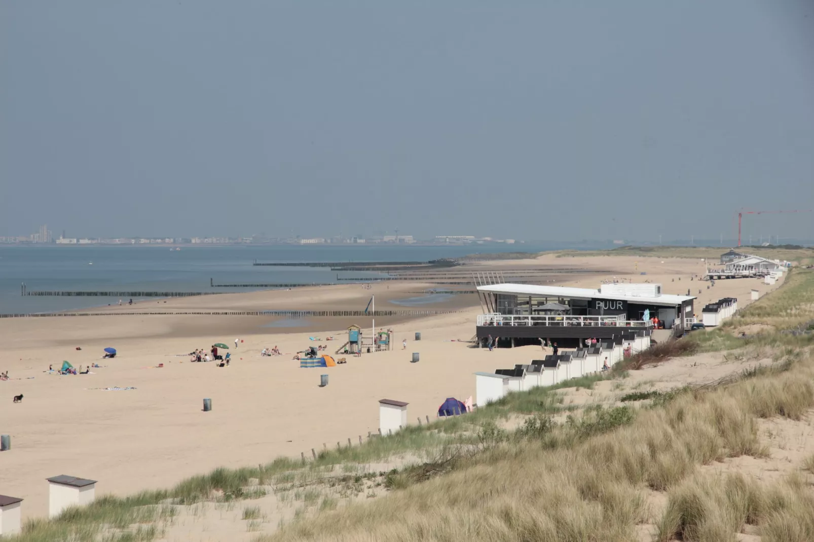 Het Platte Putje - Huisdiervrij - nr4-Areas summer 5km