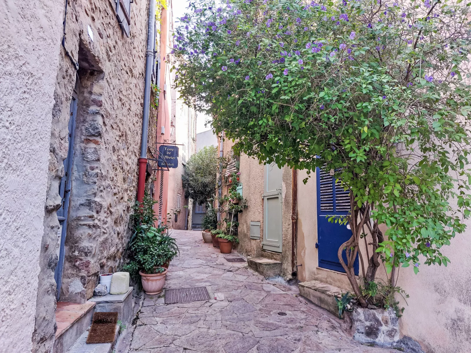 Villa La Romane-Area