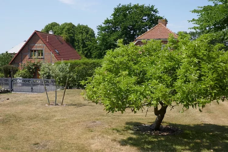 FH Sturmfrei-Gardens summer