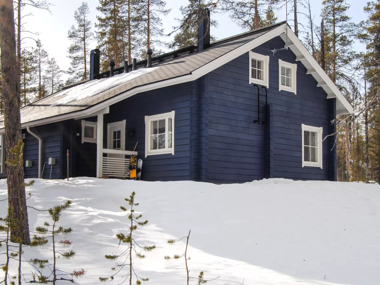 Ylläs mustikka b-Inside