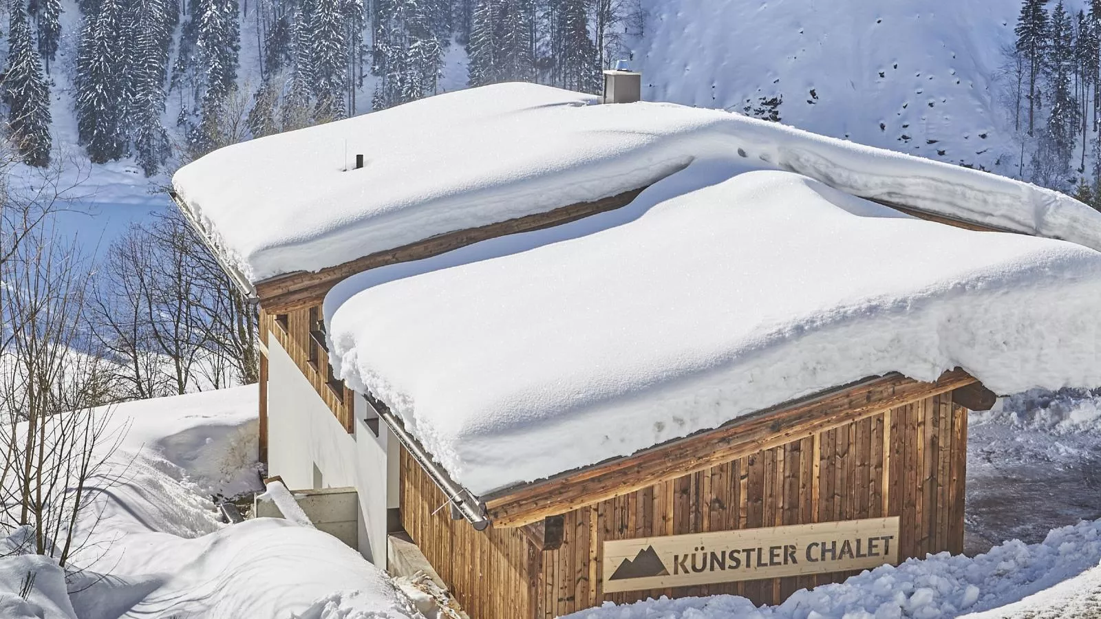 Künstler-Exterior winter