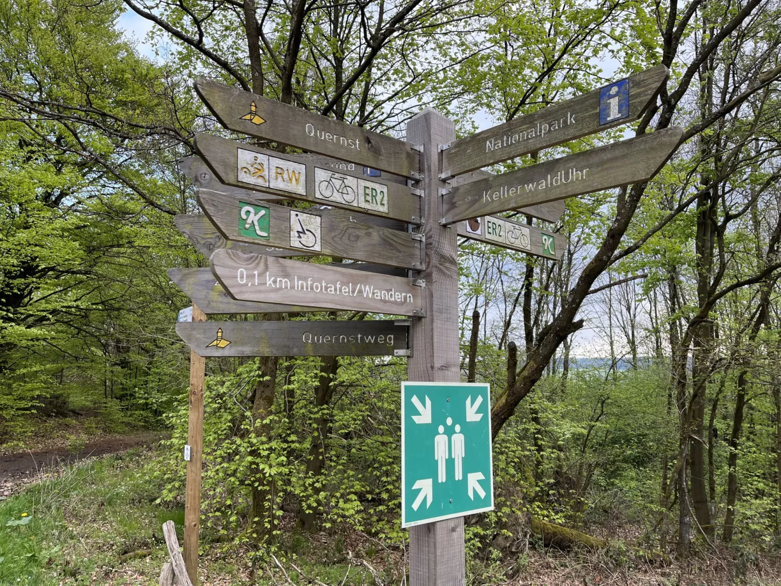 Woodys- Waldhütte-Dedans