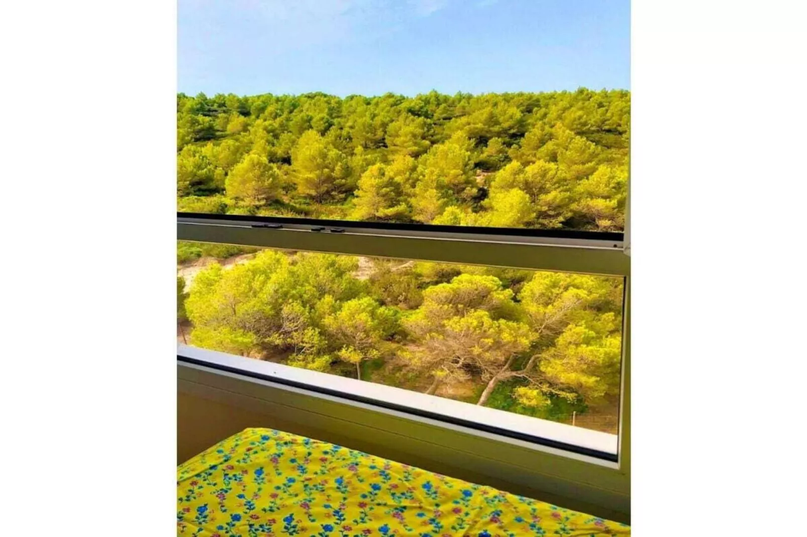 471415-Aussicht Sommer