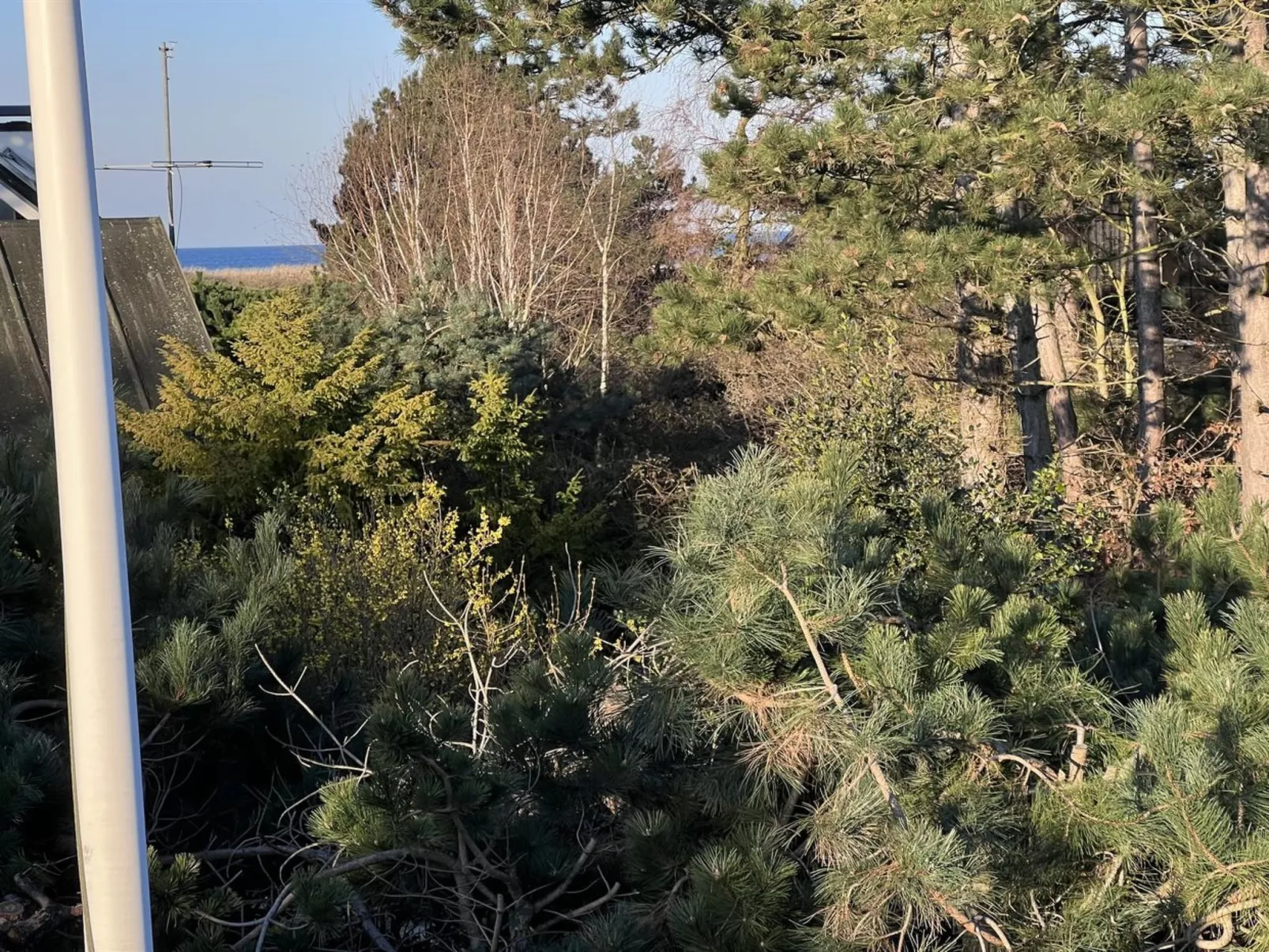 "Wiger" - 150m from the sea-Outside