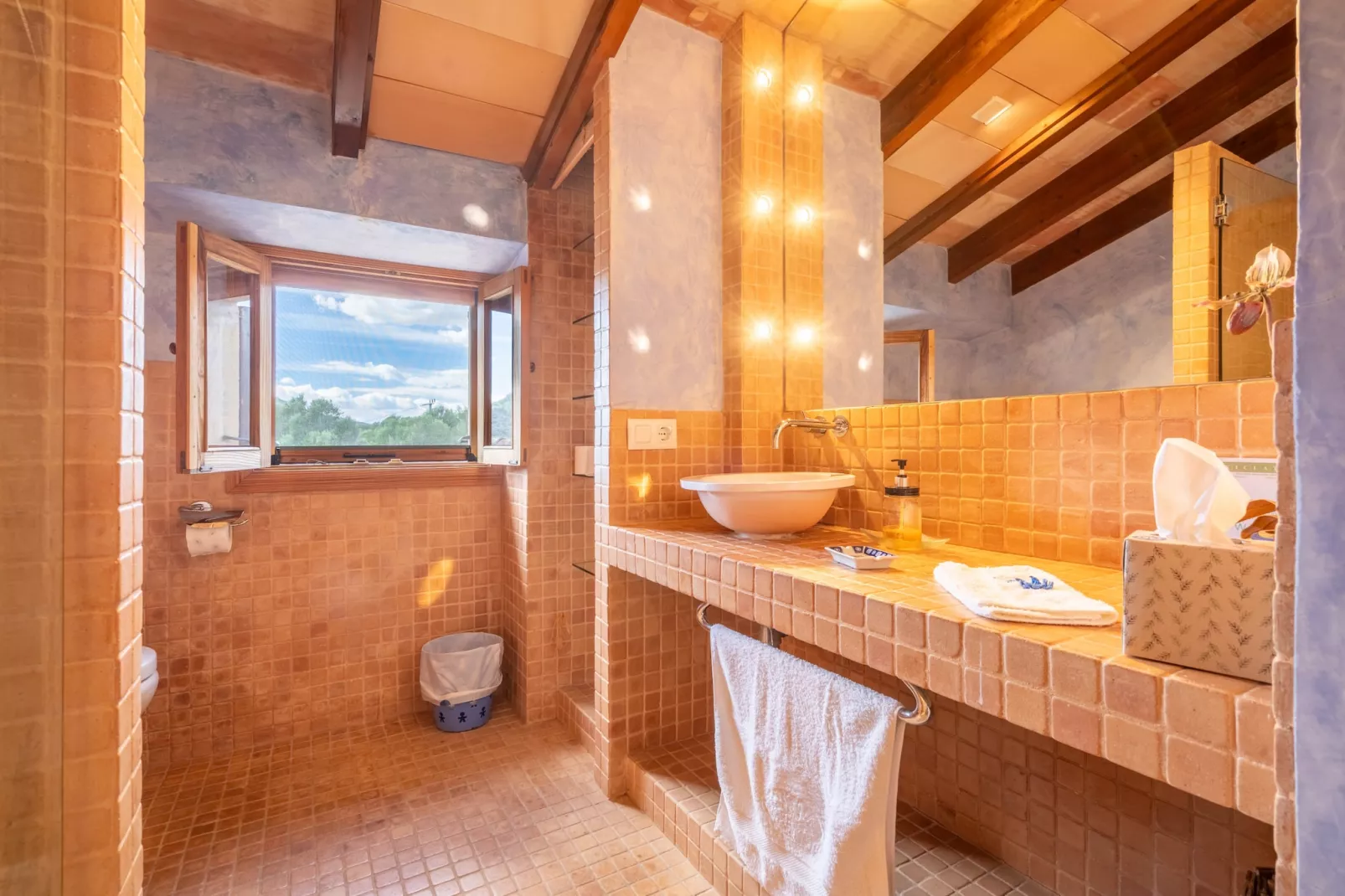 LeXiclati, Finca 5StarsHome Mallorca-Bathroom