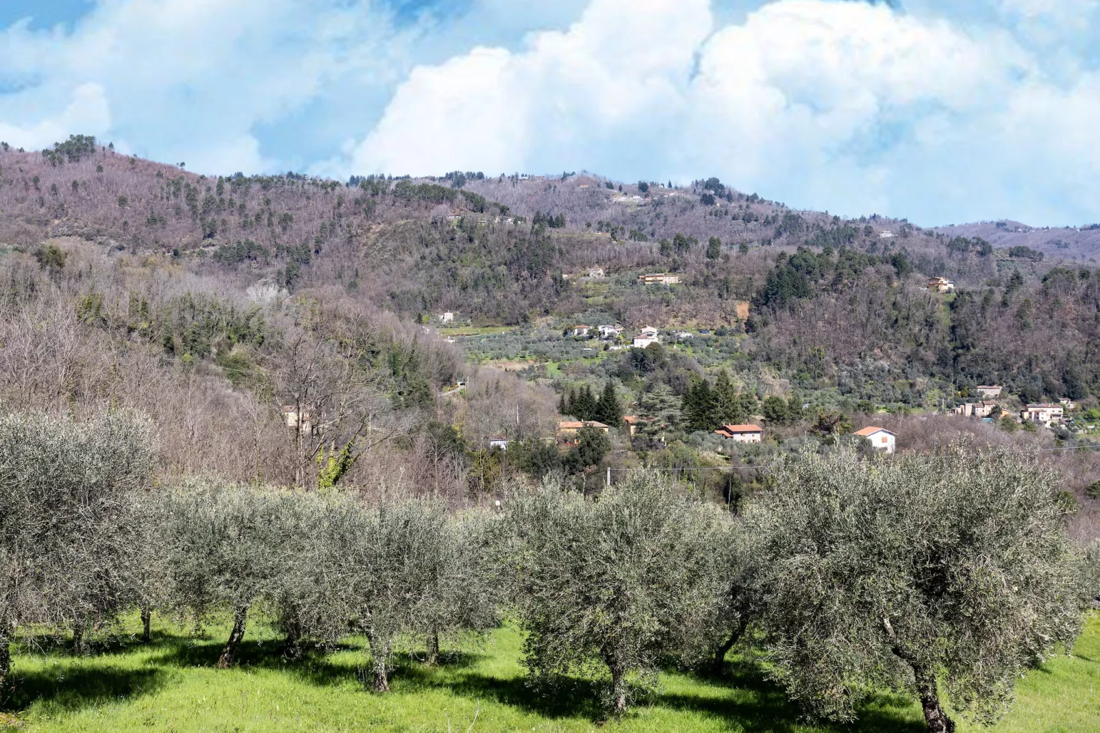 Casa di Lavanda-Gebiete Sommer 1 km