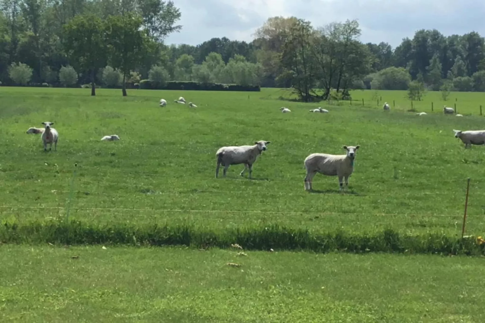 De oude stal-Areas summer 20km
