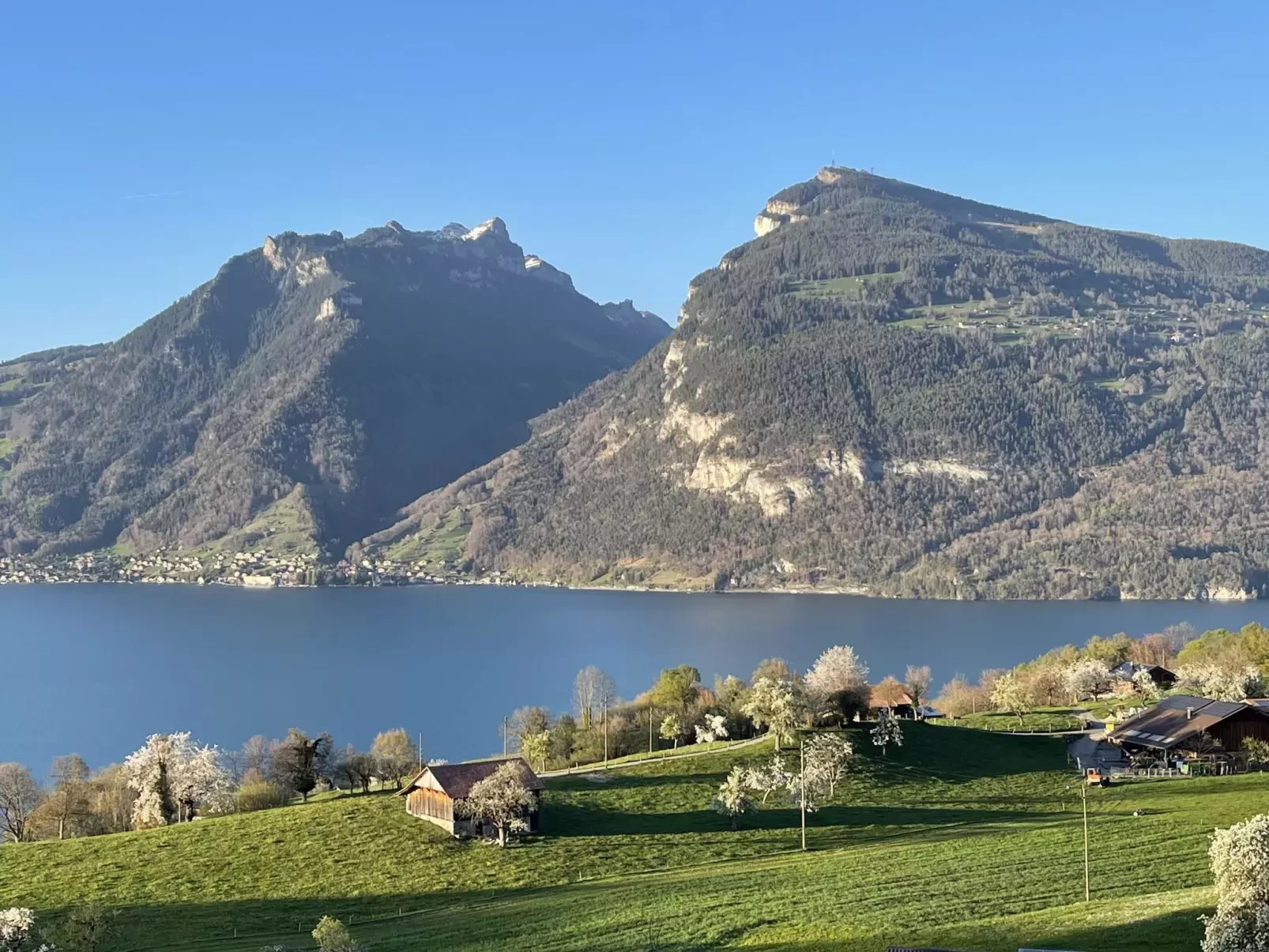 Panoramaferienwohnung Waldkircher-Draußen