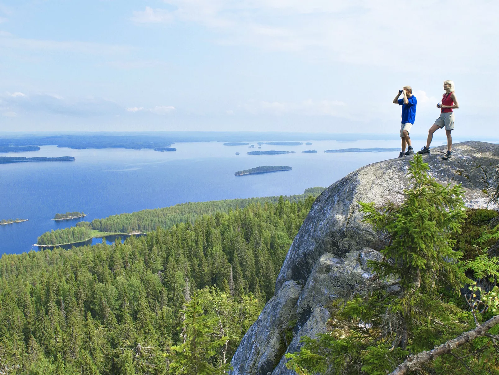 Koivuniemi-Environnement