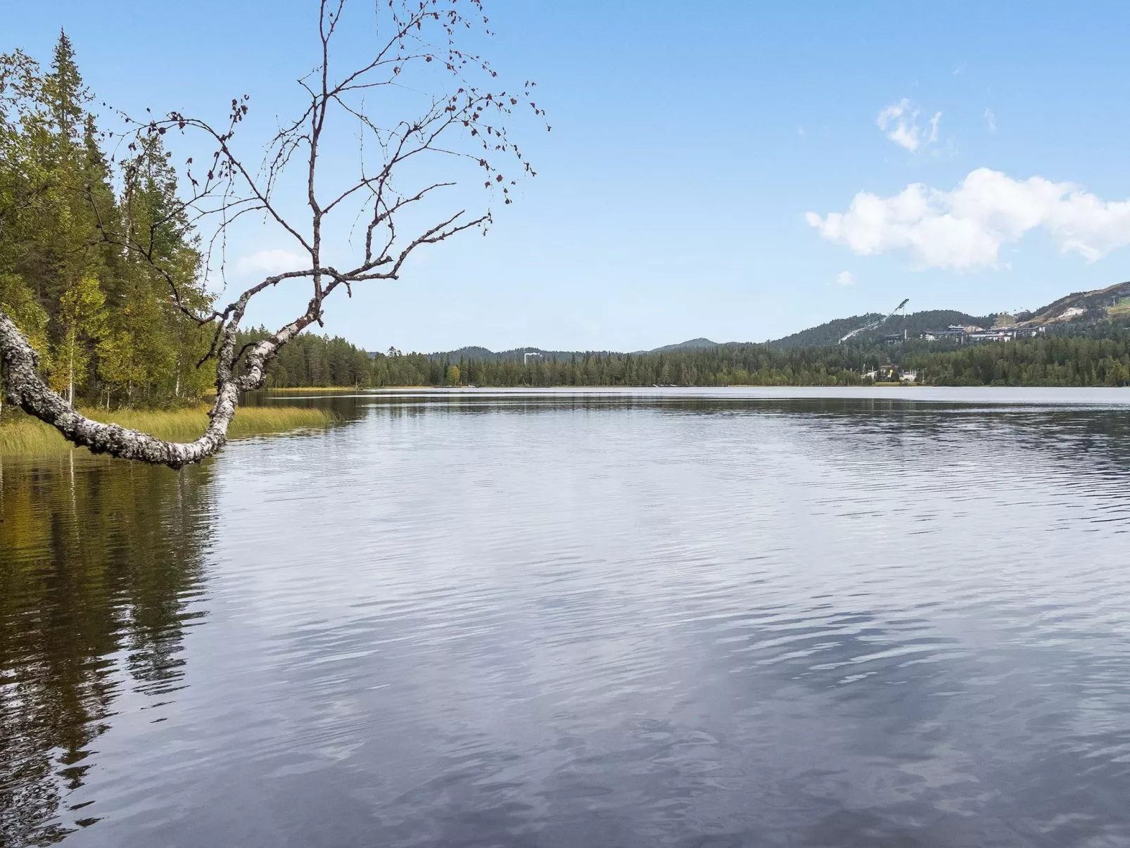 Rukatörmä, kesäjärvi-Drinnen
