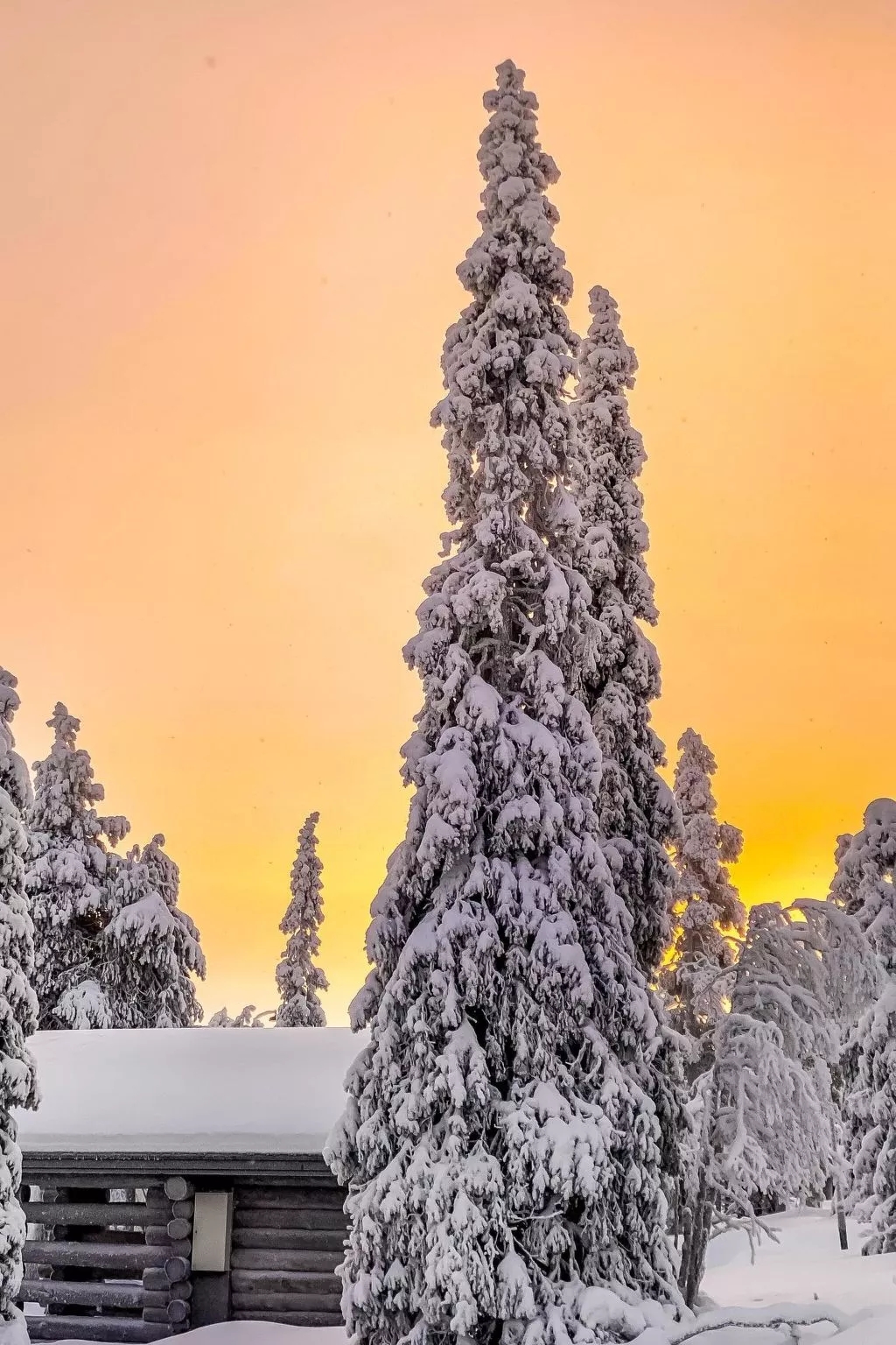 Alte ruka ansa-Draußen