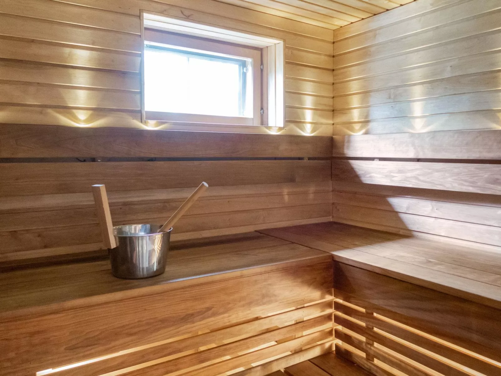 Muuttohaukka-Inside